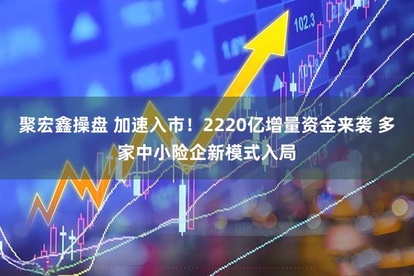 聚宏鑫操盘 加速入市！2220亿增量资金来袭 多家中小险企新模式入局