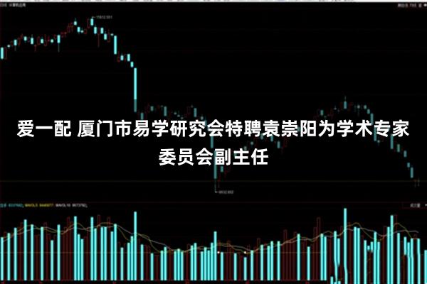 爱一配 厦门市易学研究会特聘袁崇阳为学术专家委员会副主任