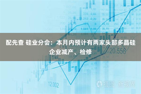 配先查 硅业分会：本月内预计有两家头部多晶硅企业减产、检修