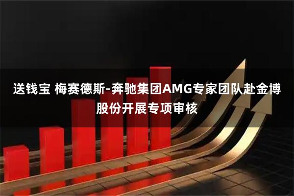 送钱宝 梅赛德斯-奔驰集团AMG专家团队赴金博股份开展专项审核