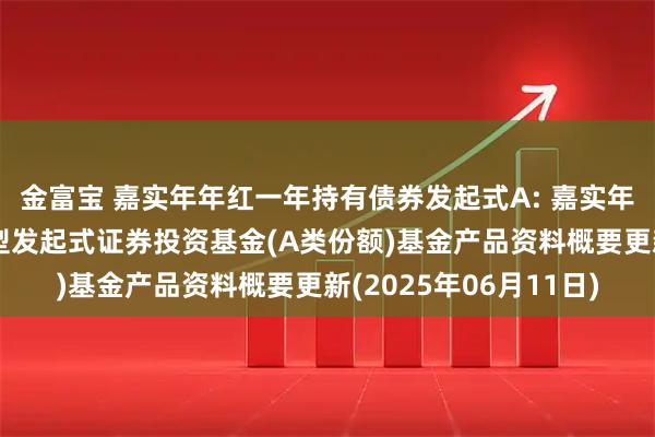 金富宝 嘉实年年红一年持有债券发起式A: 嘉实年年红一年持有期债券型发起式证券投资基金(A类份额)基金产品资料概要更新(2025年06月11日)