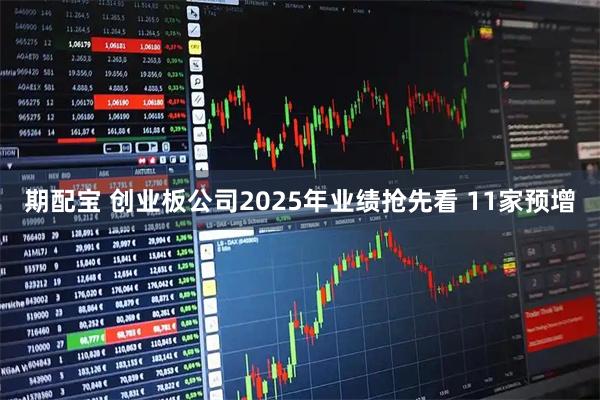 期配宝 创业板公司2025年业绩抢先看 11家预增